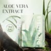 Aloe Vera Soothing Moisturizing Gel