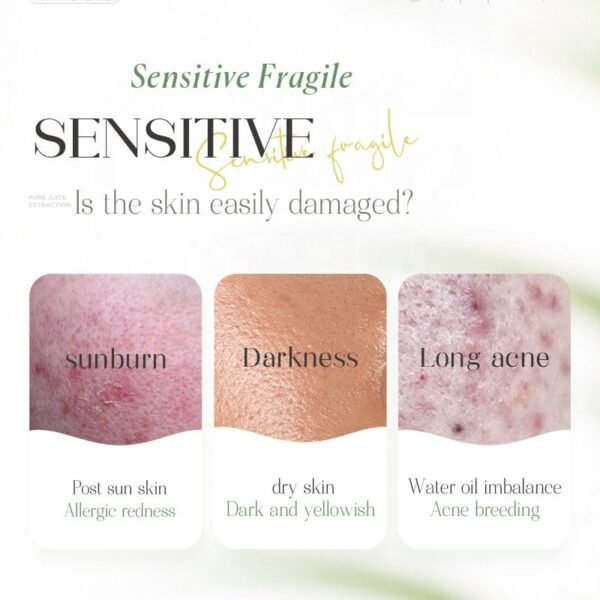 Aloe Vera Soothing Moisturizing Gel